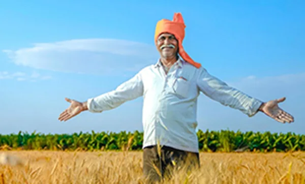 How Organic Farming Helps Agricultural Development img