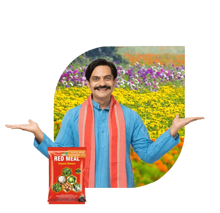 Smiling farmer in a marigold field with a pack of Red Meal organic manure