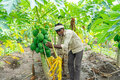 eco-friendly-agriculture-inputs_about_img