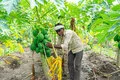 eco-friendly-agriculture-inputs_about_img