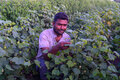 productivity-of-farmers_about_img