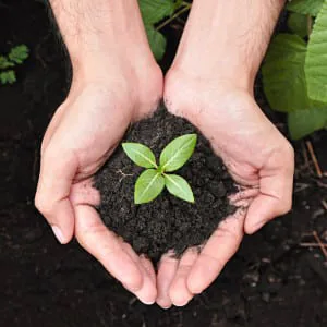 Organic Manure blog image Organic Manure blog image