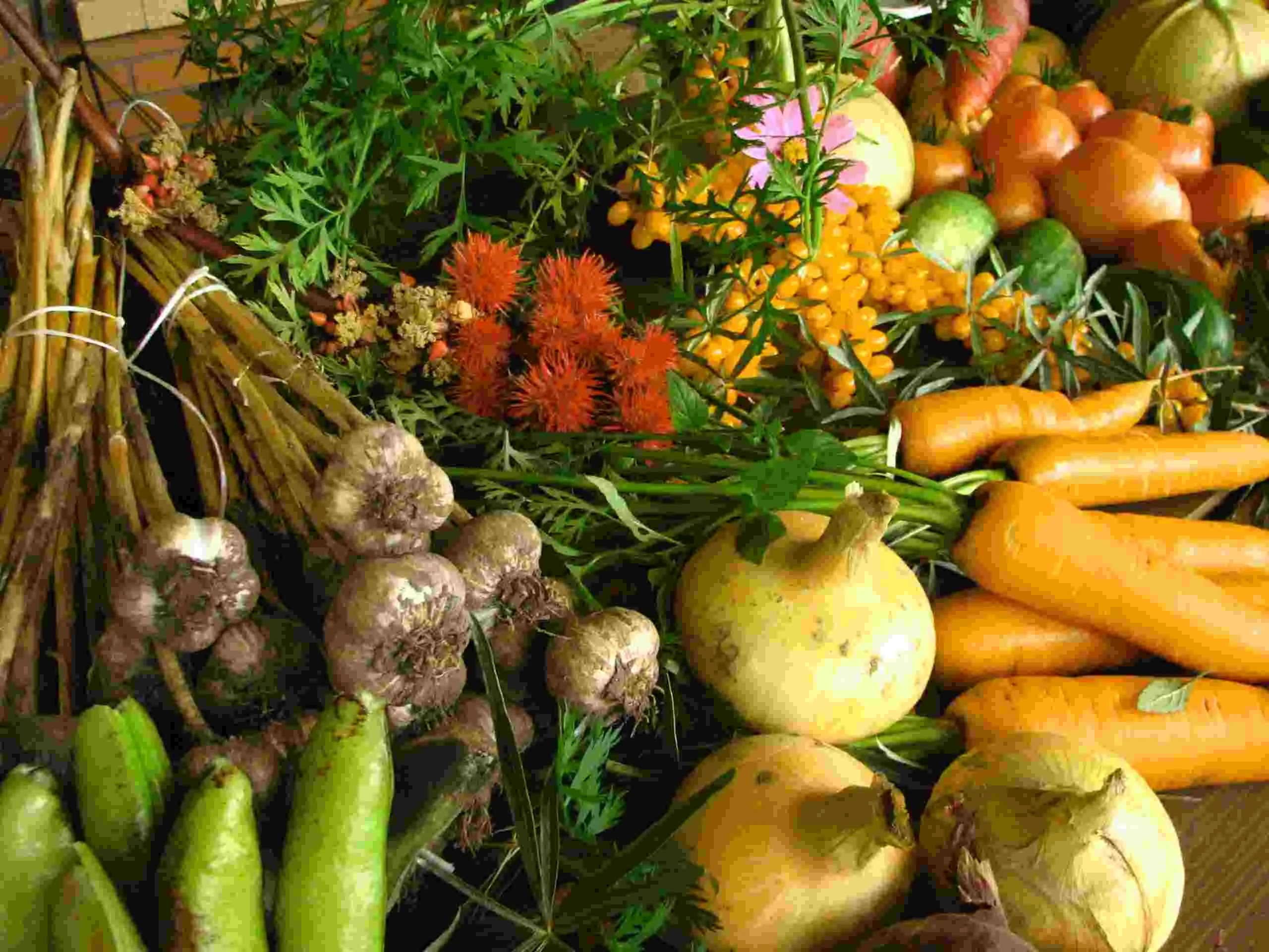 Eco-Friendly Agricultural Products blog image Eco-Friendly Agricultural Products blog image