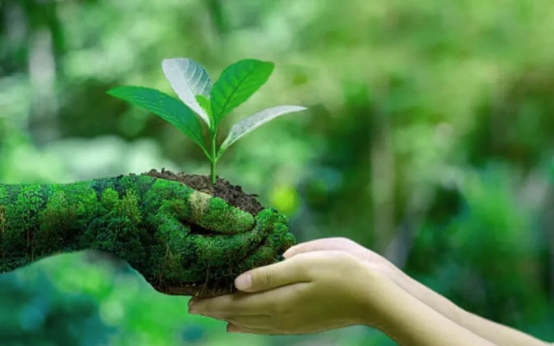 organic_farming_blog_image organic_farming_blog_image