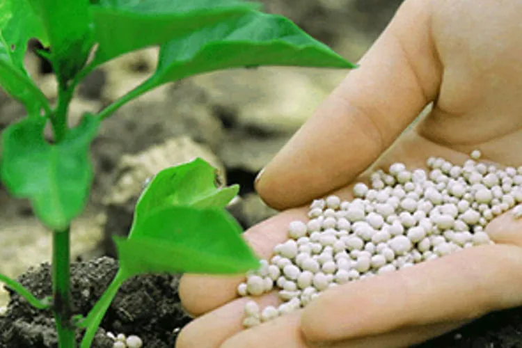 Bio-Fertilizer_blog_image