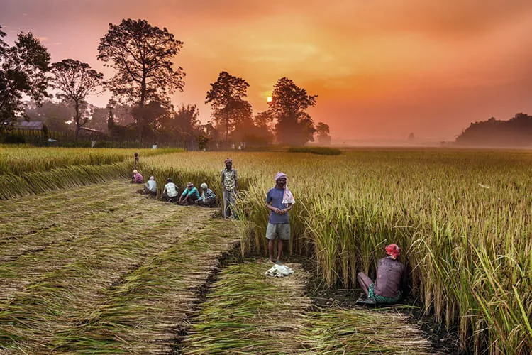 Eco-Friendly Farming_blog_image Eco-Friendly Farming_blog_image