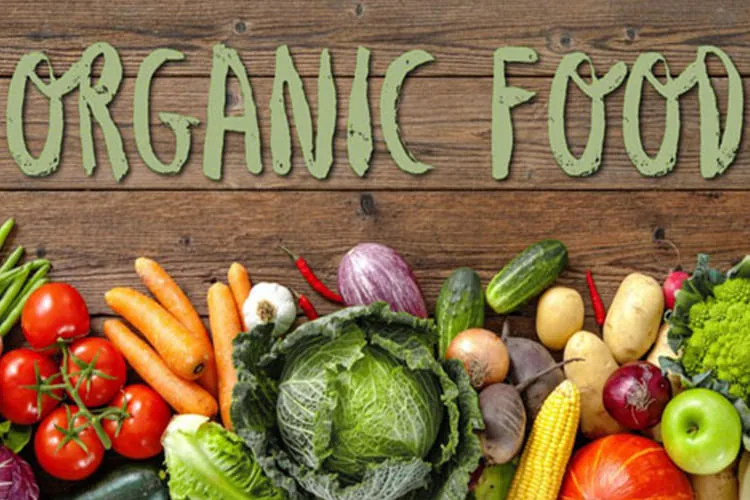 Organic Food_blog_image