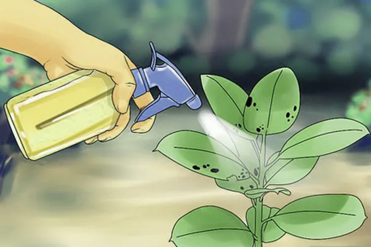 Organic Pesticides_blog_image