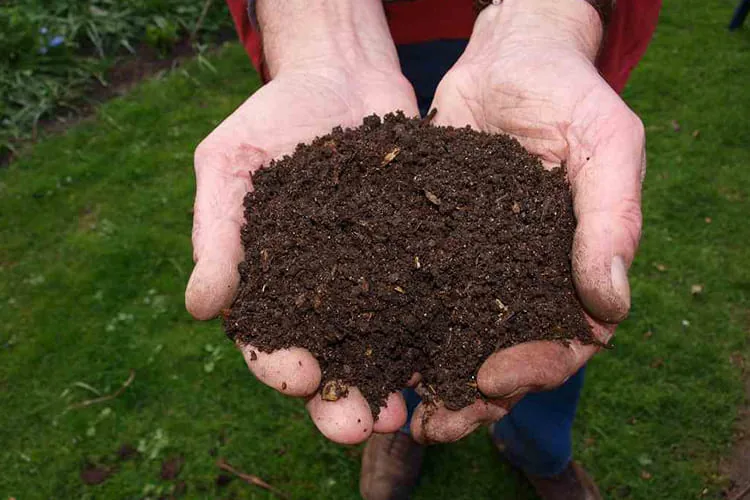 organic_manure_blog_image organic_manure_blog_image