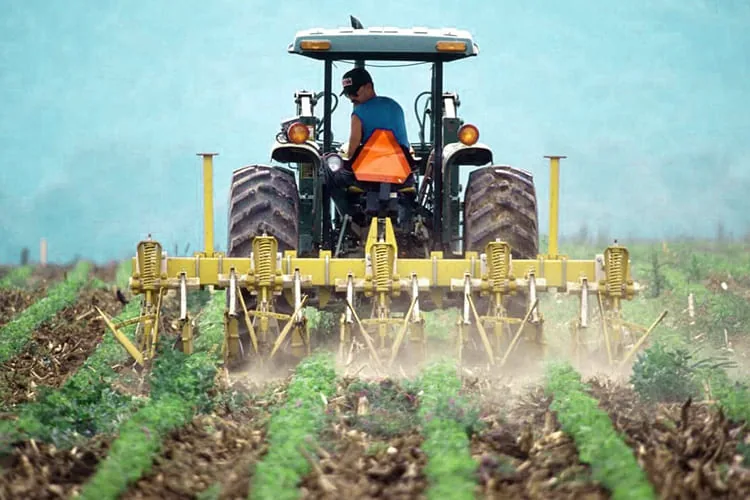 How to Choose the Right Crops for Organic Farm img How to Choose the Right Crops for Organic Farm img