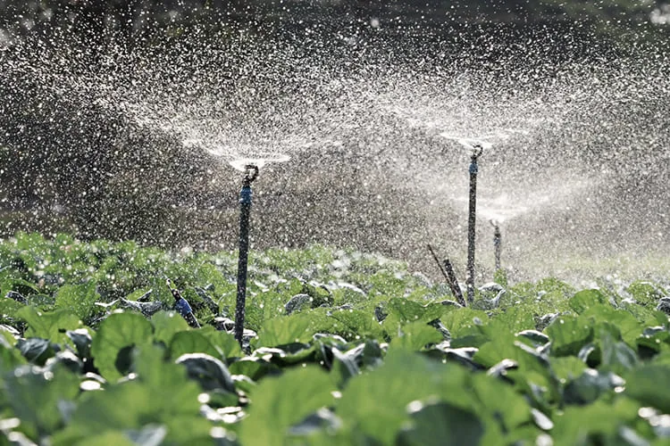 How Precision Irrigation Method Helps Agriculture img How Precision Irrigation Method Helps Agriculture img