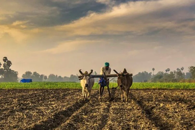 chemical-free farming_blog_image