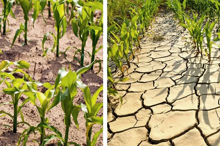 climate change_blog_image