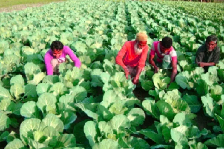 organic_farmers_blog_image