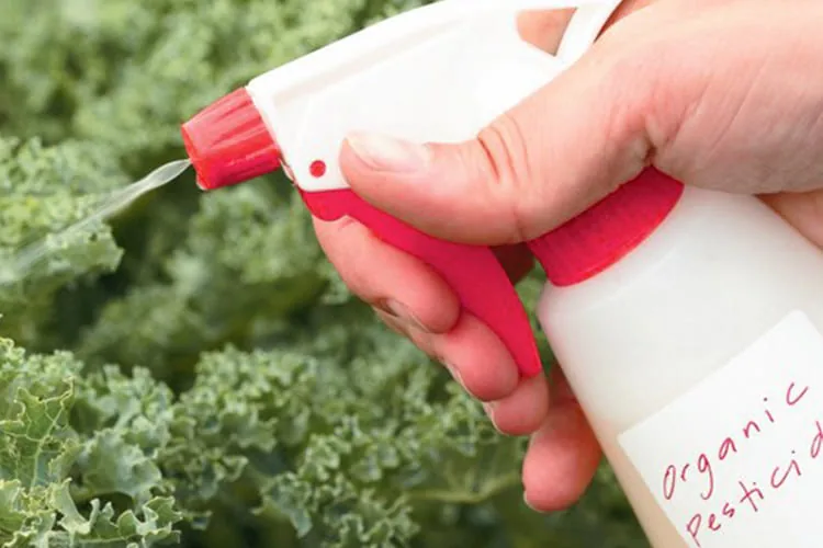 organic_pesticides_blog_image organic_pesticides_blog_image