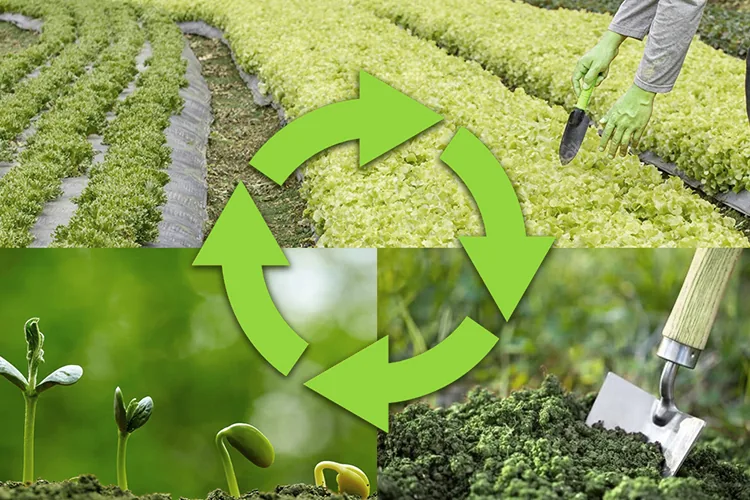 Crop Rotation_blog_image