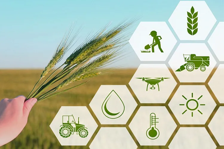 agricultural marketing_blog_image agricultural marketing_blog_image