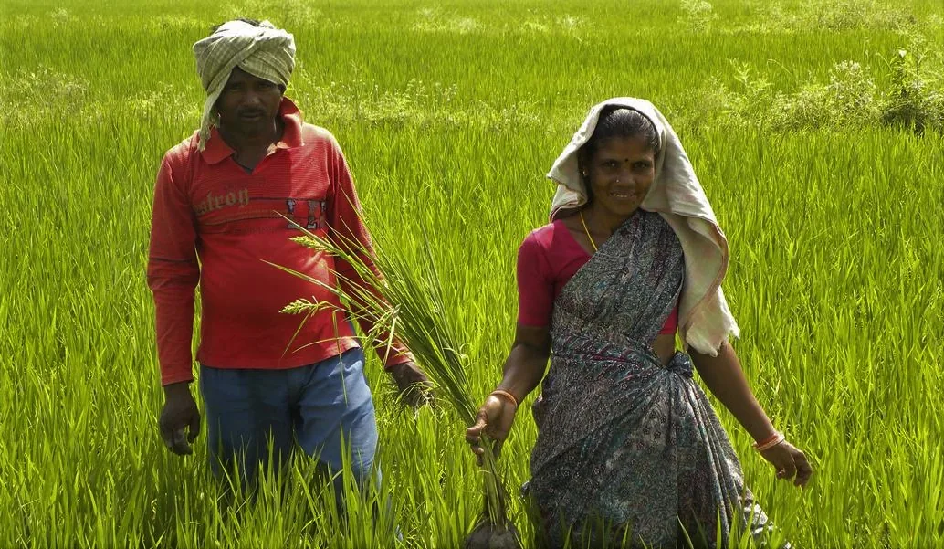 chemical free agriculture _blog_image chemical free agriculture _blog_image