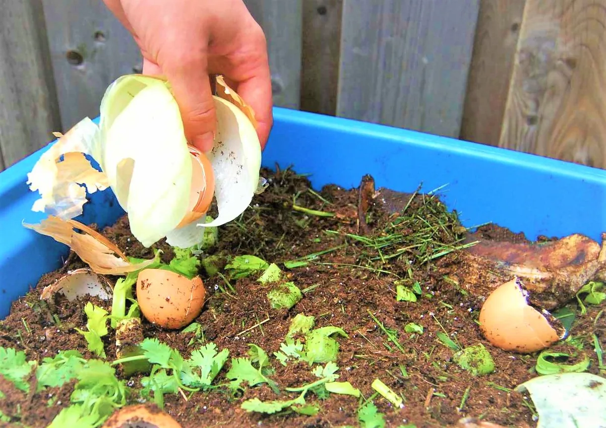 composting_blog_image