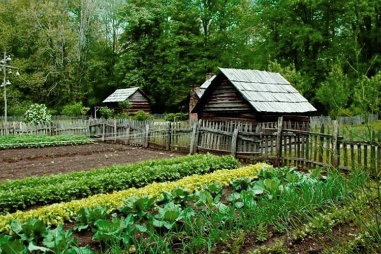eco-friendly agriculture-blog-image eco-friendly agriculture-blog-image