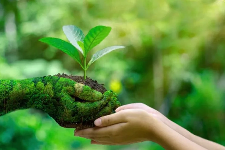 organic-farming-blog-image organic-farming-blog-image
