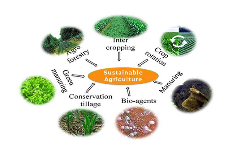 sustainable agriculture_blog_image sustainable agriculture_blog_image