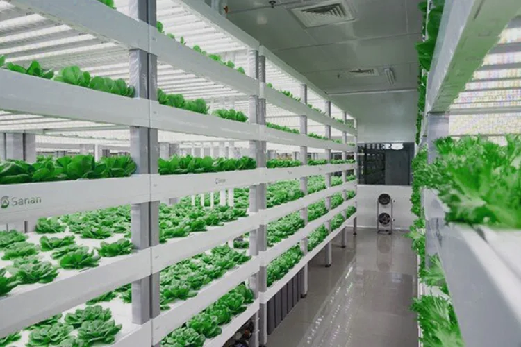 vertical farming_blog_image