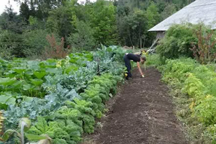 How to Make Your Farm Eco-friendly img