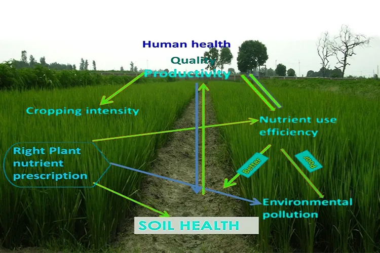 eco-friendly-agriculture-blo-image