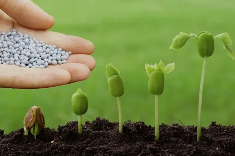 biopesticides-blog-image