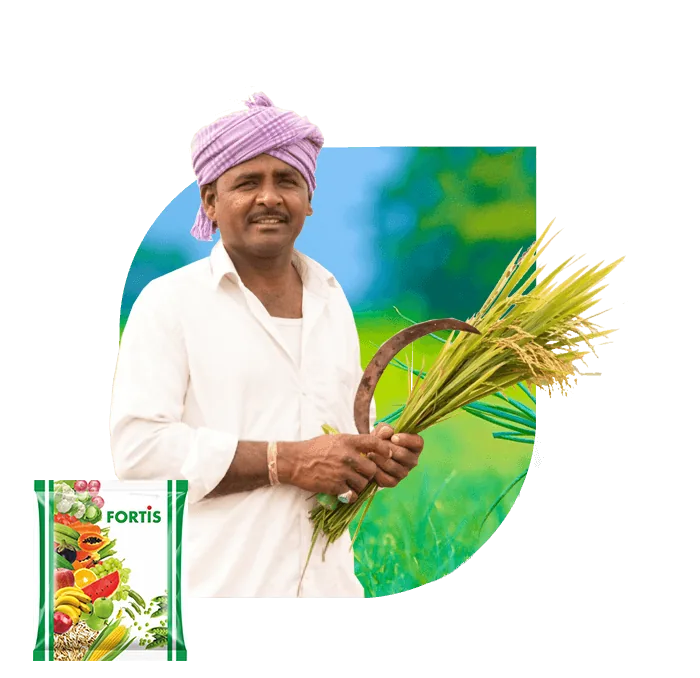 Farmer holding freshly harvested paddy and a sickle, with a pack of Fortis