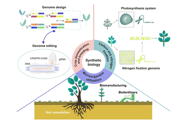 synthetic-inputs-blog-image