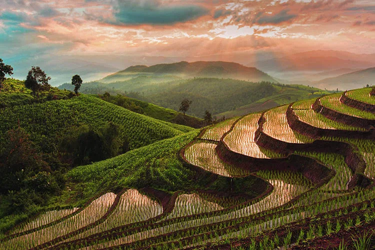 Use-of-agroecological-indicators-in-farming-systems-blog-image Use-of-agroecological-indicators-in-farming-systems-blog-image