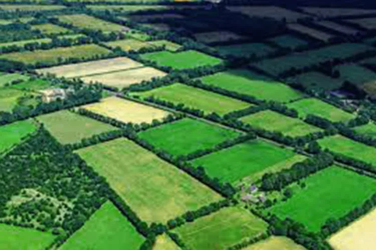 the agroecological farming system in india-blog-image