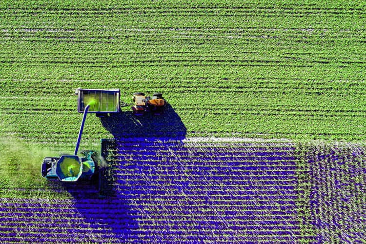 how-high-yield-farming-saves-nature-blog-image how-high-yield-farming-saves-nature-blog-image