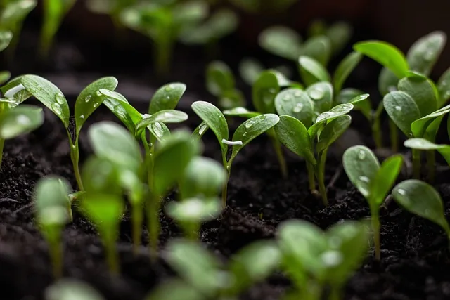 eco-friendly_farming _indochem_blog-image eco-friendly_farming _indochem_blog-image