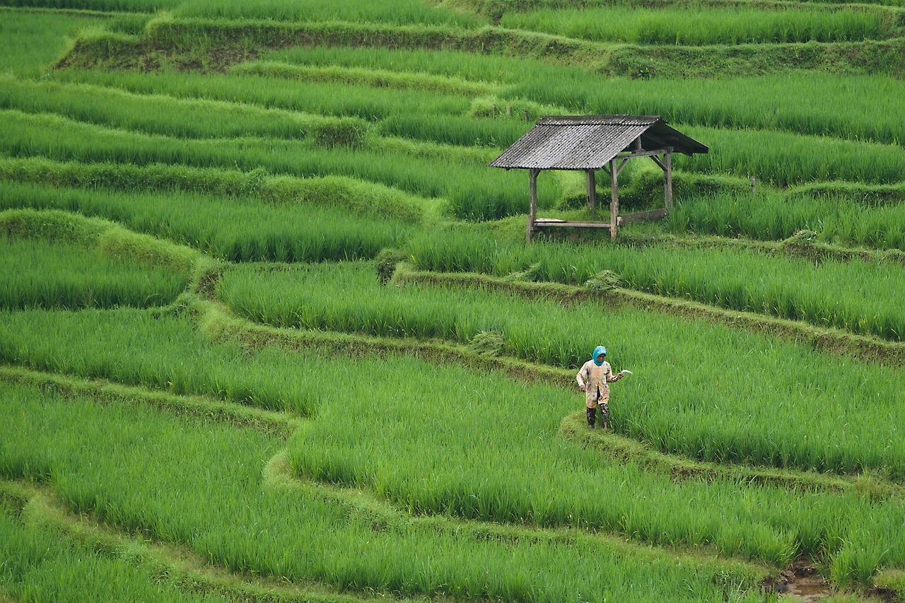 green-farming _indochem_blog-image