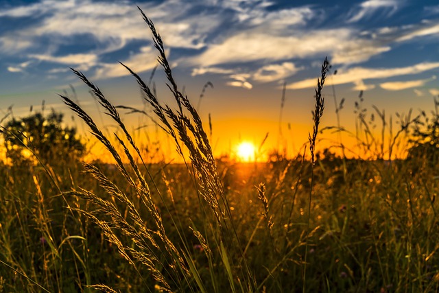 natural-farming _indochem_blog-image