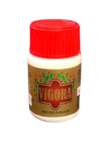 natural_fertilizer_indochem_blog-image natural_fertilizer_indochem_blog-image