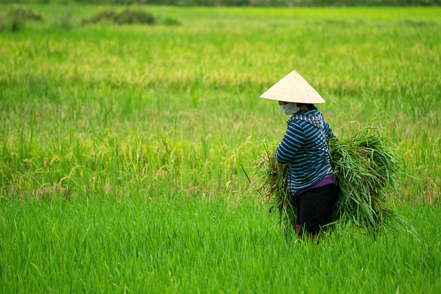 organic-farming _indochem_blog-image organic-farming _indochem_blog-image