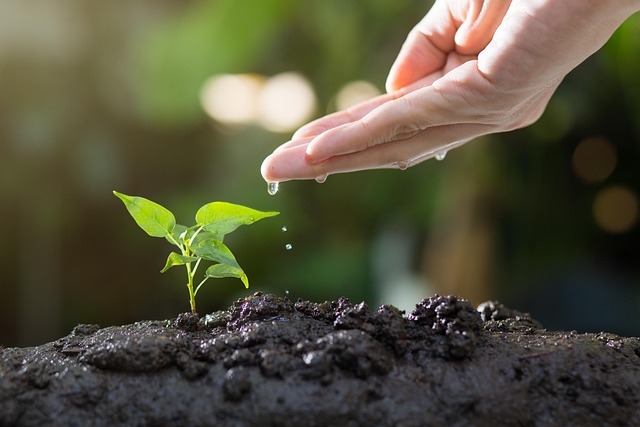 organic-inputs_indochem_blog-image