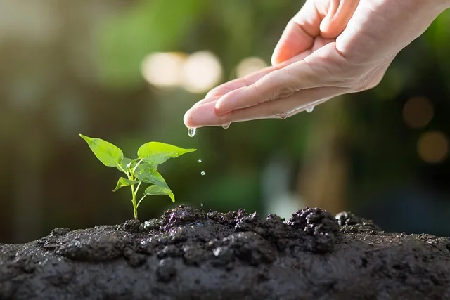 organic-inputs_indochem_blog-image