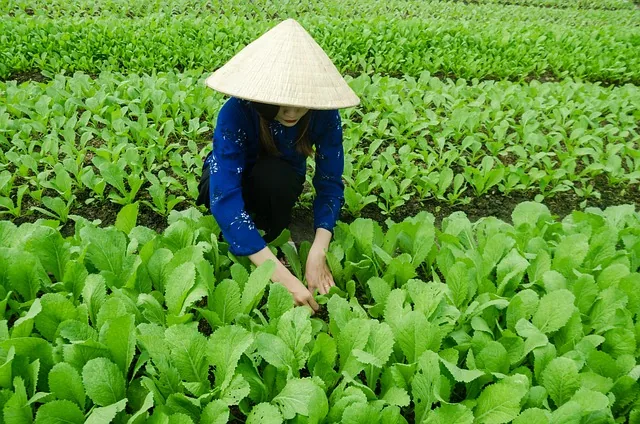 eco-safe_crop care _indochem_agrovet_blog-image
