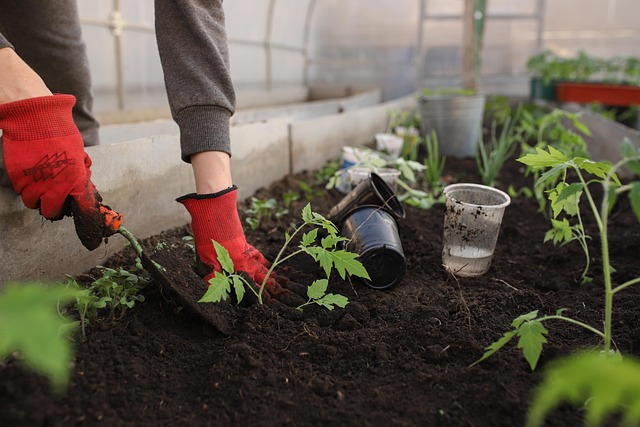 garden_with_compost_manure_indochem_agrovet_blog-image