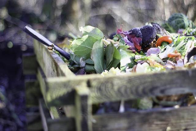 organic_compost_indochem_agrovet_blog-image organic_compost_indochem_agrovet_blog-image