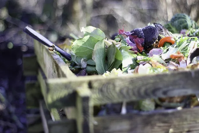 organic_compost_indochem_agrovet_blog-image