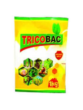 bio-fertilizers_indochem_agrovet_blog-image bio-fertilizers_indochem_agrovet_blog-image