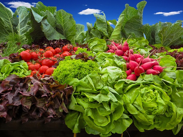 biodynamic_farming_indochem_agrovet_blog-image biodynamic_farming_indochem_agrovet_blog-image