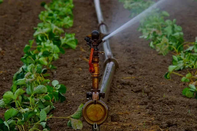 climate_smart_agriculture_indochem_agrovet_blog-image climate_smart_agriculture_indochem_agrovet_blog-image