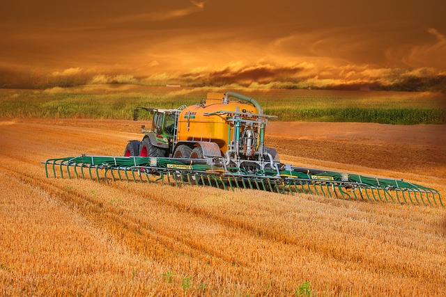 soil_health_with _green_manure_indochem_agrovet_blog-image